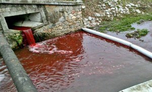 Locals in a small Slovakian town woke in horror this week when they found a river running through their small town flowing bright red with....blood. Roman Podbrezova, 65, from the foothill town of Myjava in Slovakia, had gone for a morning walk when he saw the river which runs through the centre of the town bubbling with blood. "I just could not believe my eyes," he said."The river was dark red. It was like something from a horror film. Blood cascading through the centre of town." Another local said: "This is really creepy. Yesterday evening I walked past here and it was it's normal beautiful bluey-green. "Now it looks like someone slaughtered 1,000 virgins or something. I'm not superstitious, and we've never had any serial killers or anything like that here, but this isn't normal. "How could a river fill with blood without some seriously evil event behind it?' he said.I immediately called the police." Police spokesman Elena Antalova said: "We are checking the source of the blood and what caused it. "At the moment we are thinking it could have come from dead fish or maybe someone washed a barrel containing blood in the river. "It seems it came from the drains directly above the museum," she said. Another possible answer to the mystery may be a slaughterhouse several miles upstream on the River Myjava. Usually its water is pumped into a retaining pool where it is filtered before being released into the river. Police think the filtration system my have gone awry.