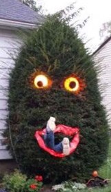 decorate-outdoor-tree-for-christmas