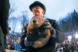 groundhog-day